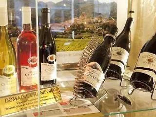 酒店 卡斯特斯酒店